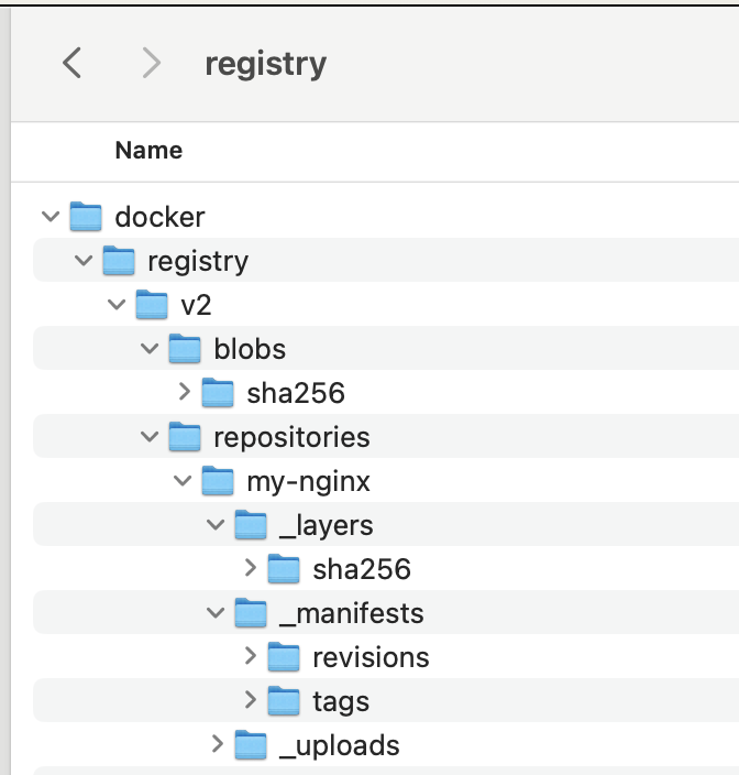 /Users/saurav/Tech/Kubernetes/pv_pvc/data/registry