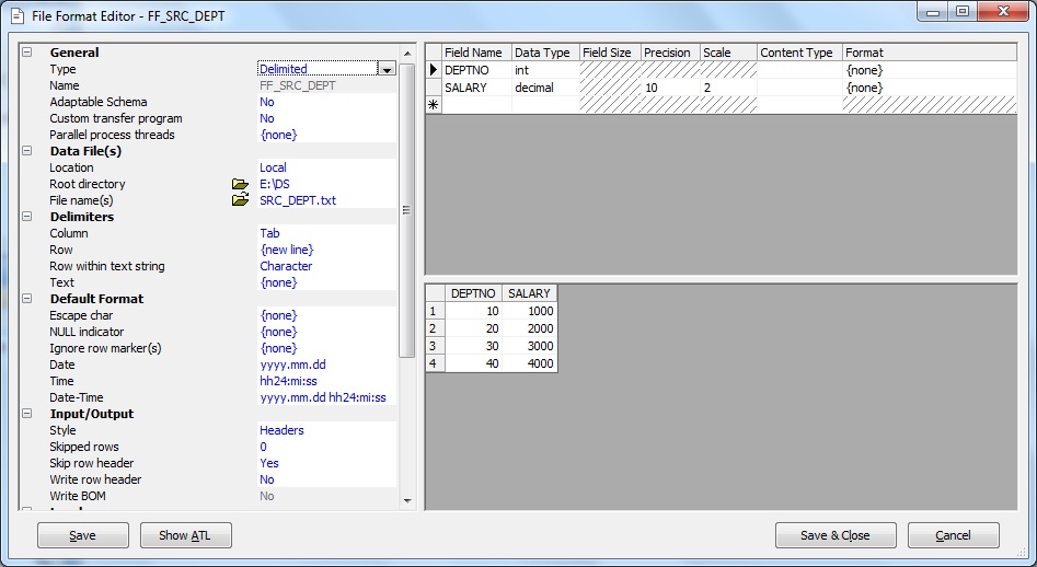 File Format