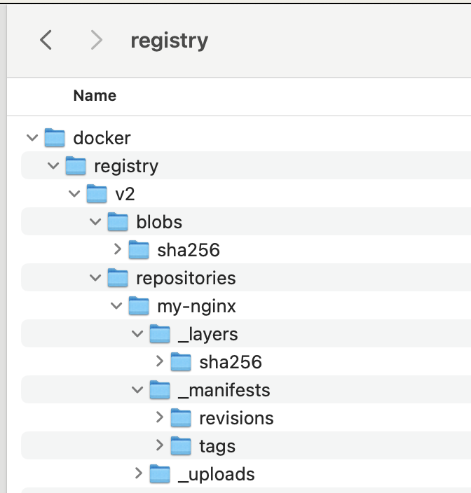 /Users/saurav/Tech/Kubernetes/pv_pvc/data/registry<br>