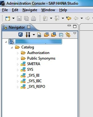 SAP HANA System